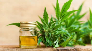 Cbd,Oil,Hemp,Products