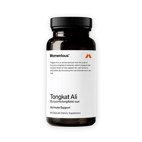 tongkat ali testosterone booster