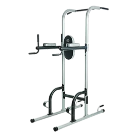 Gold's Gym XR 10.9 Power Tower