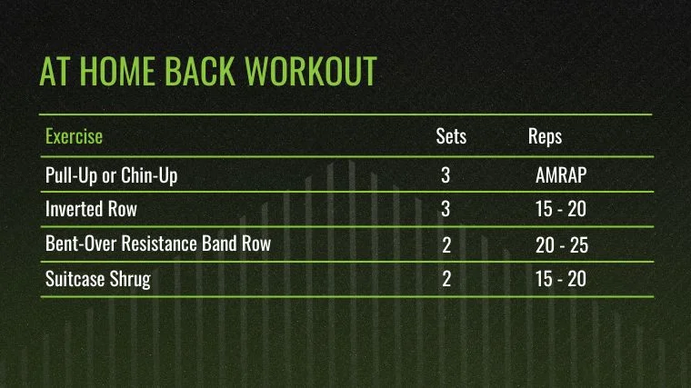 The At Home Back Workout chart for the best back exercises. 