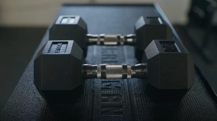 Rogue Dumbbells Build