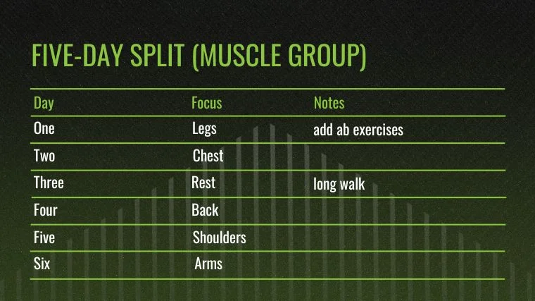 The Five-Day Workout Split (Muscle Group Split) chart