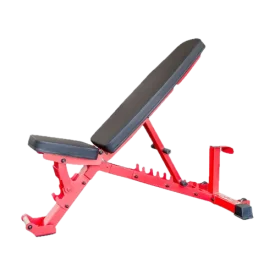 Giant Lifting Adjustable Weight Bench