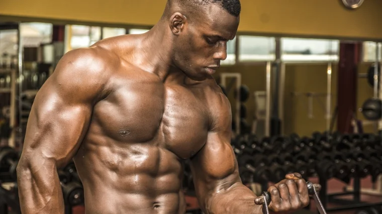 A person doing biceps exercises in the gym.