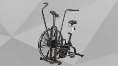 Assault AirBike Review