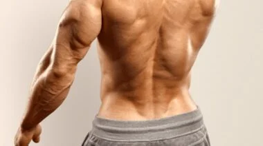 Barbend Featured Image A bodybuilders lower back