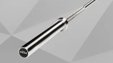 Rogue Echo Barbell