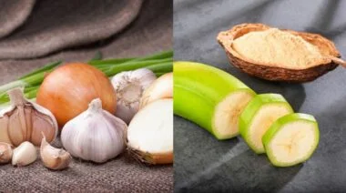 types of fiber