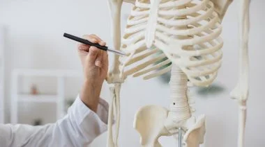 shutterstock_2381606945