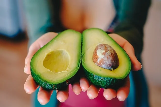 avocado 2115922_640