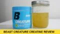 Beast Creature