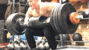 log clean and press