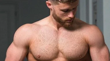 Nippard 1