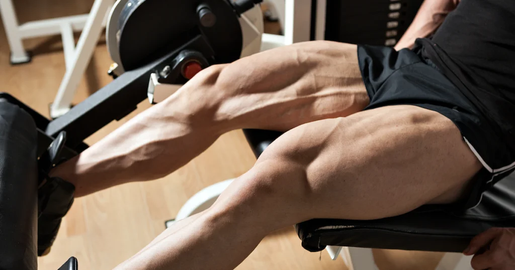 Leg Extension