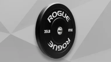 Rogue Echo Bumper Plates