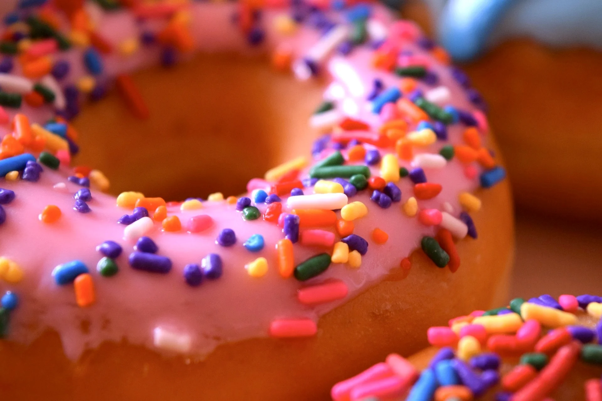 donut 1761520_1920