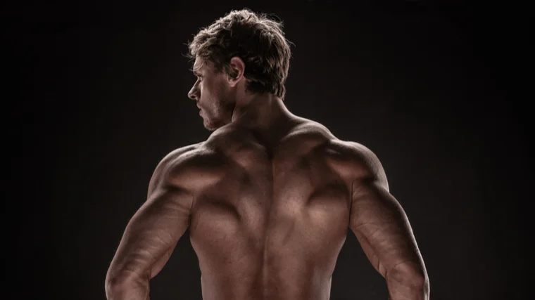 A bodybuilder's shirtless back.