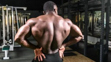 Back muscles anatomy