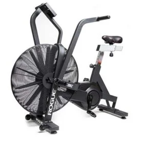 Rogue Echo Air Bike