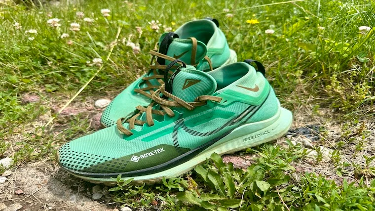 Nike Pegasus Trail 4 GORE-TEX