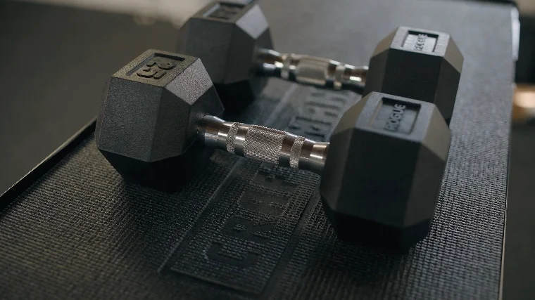 Rogue Dumbbells Build