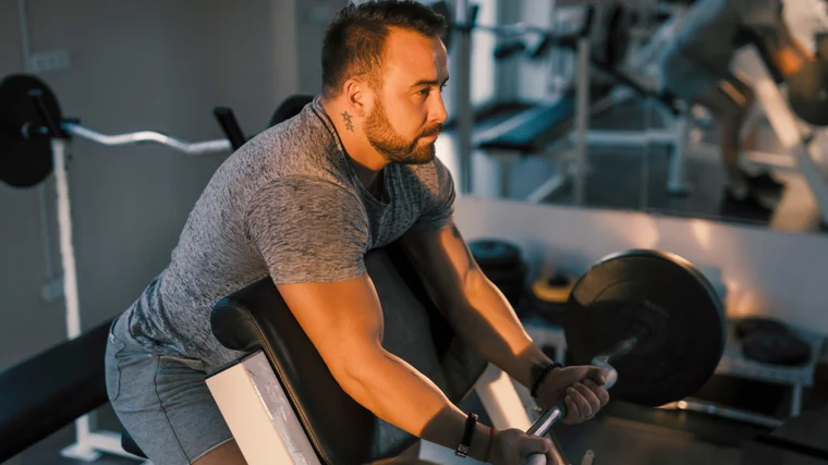 A person wears a grey t-shirt while setting up to perform a preacher curl with a loaded curl bar.