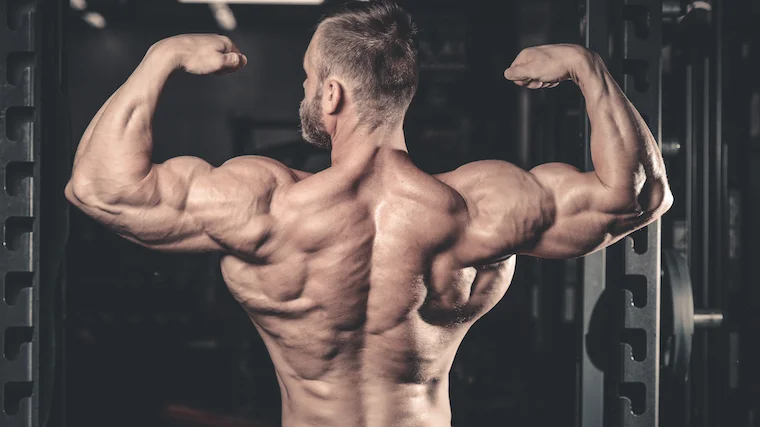 Back Double Biceps