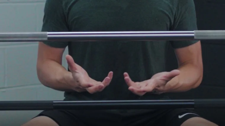 Stainless Steel Ohio Bar vs Black Chrome X Training Elite Competition Bar