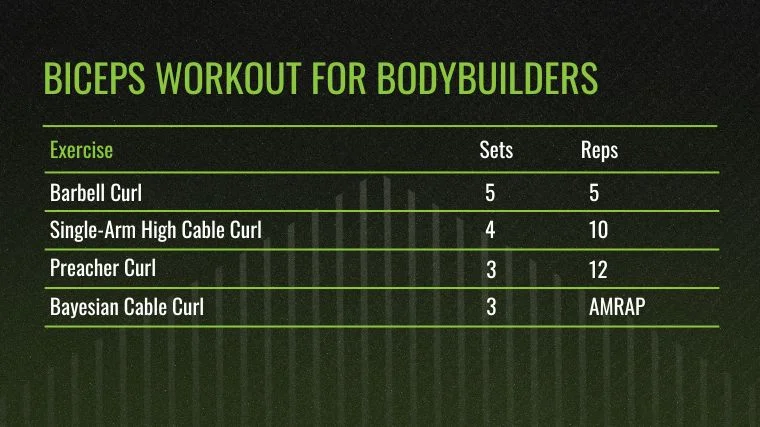The Biceps Workout for Bodybuilders chart.