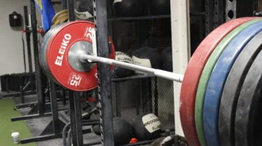 all the plates