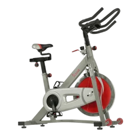 Sunny Health & Fitness SF-B1995 Pro II Stationary Indoor Cycling Bike
