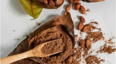 Cocoa seeds and powder sitting on a wooden spoon.