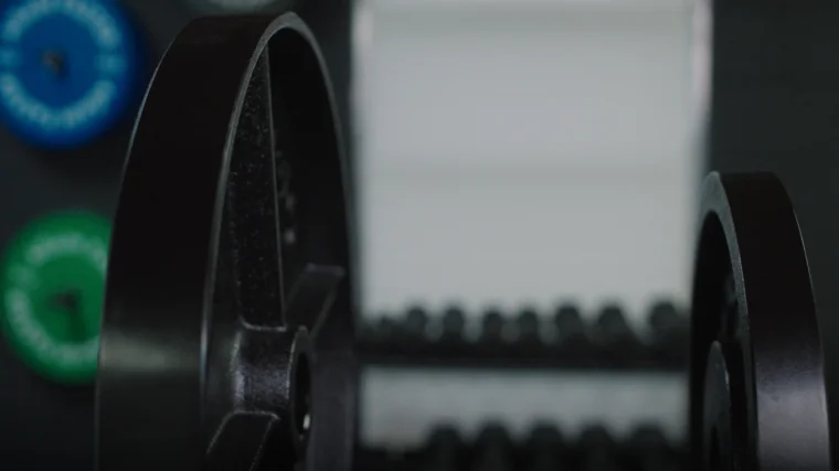 Rogue Deep Dish Weight Plates Thickness