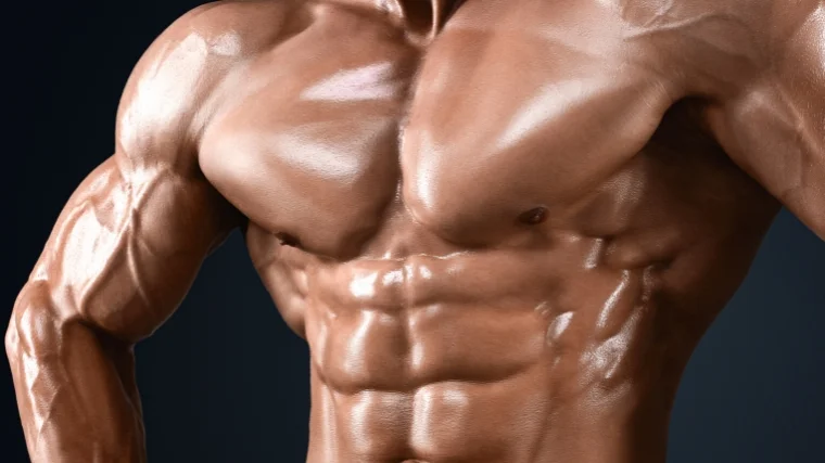 Close up of a muscular chest.