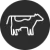 Meat