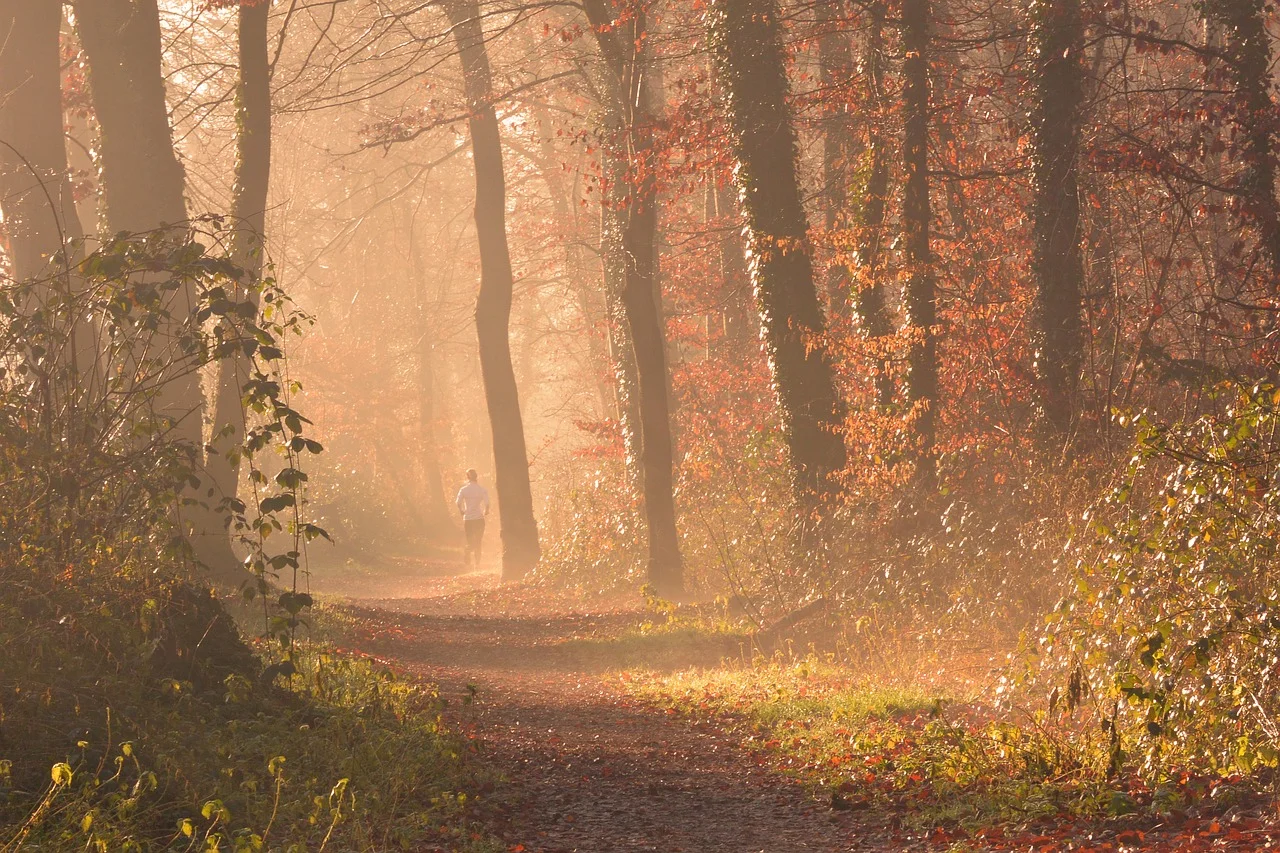 fog 1856722_1280