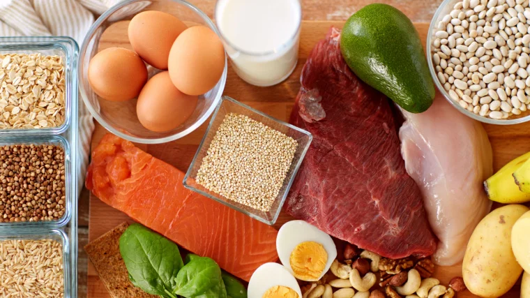 Food sources of protein