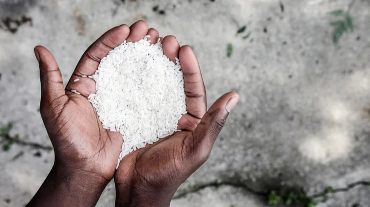 A person holds white rice in their cupped hands.