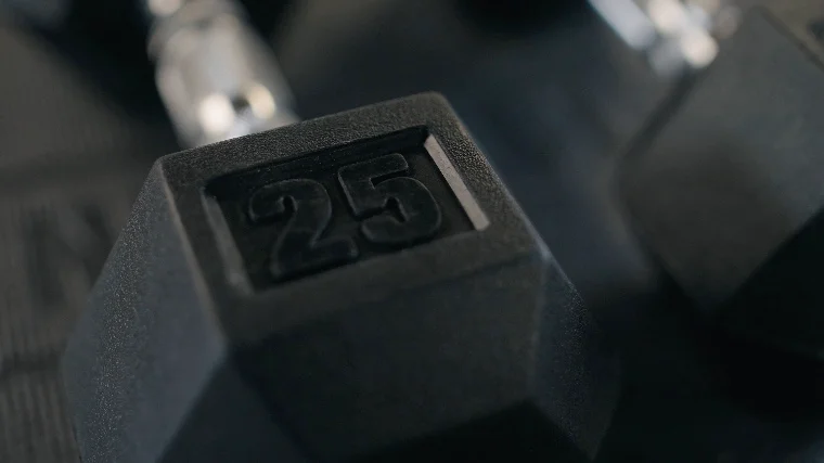 25-Pound Rogue Dumbbells