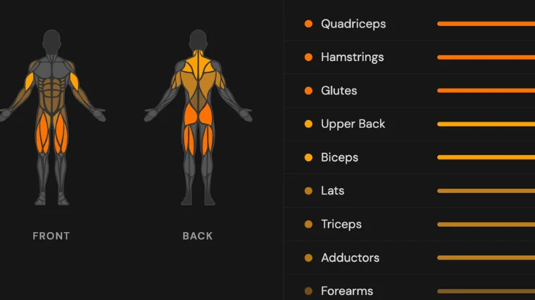 Body-mapped results from a Boostcamp workout indicating which muscle groups were engaged during a training session