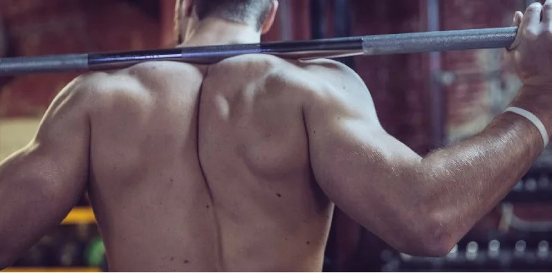 Bigger Traps Exercises