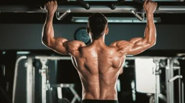 Muscular bodybuilder's back.