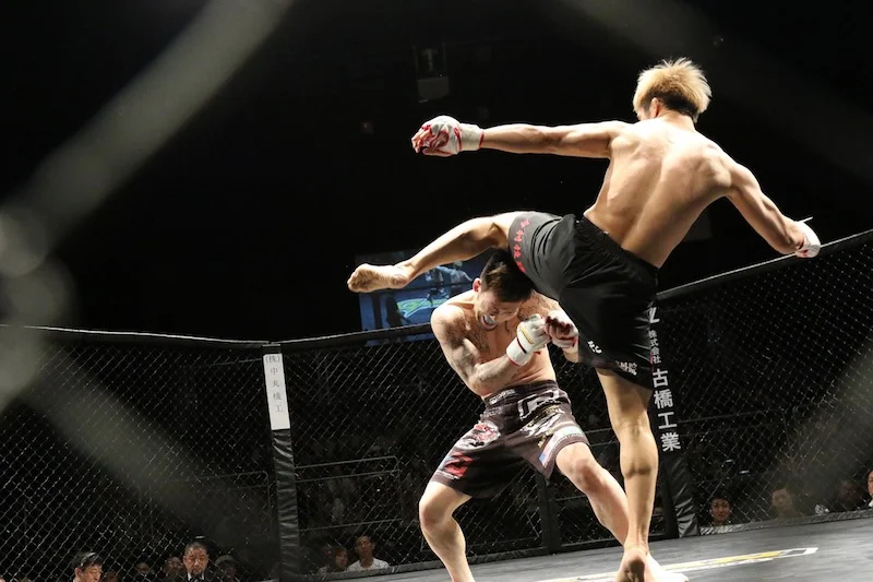 mma kick