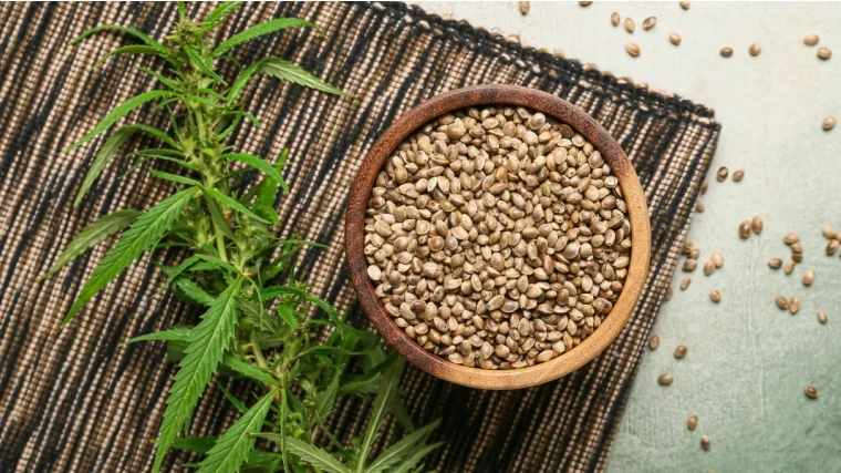 A bowl full of hemp seeds.