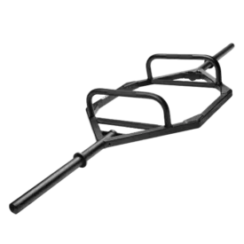 Rogue TB-2 Trap Bar