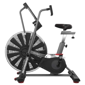 Schwinn AD7 Schwinn AD7