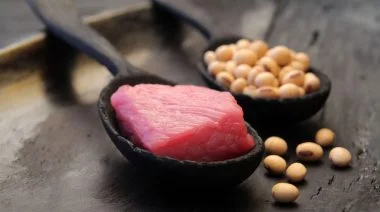 How to Identify Protein Quality