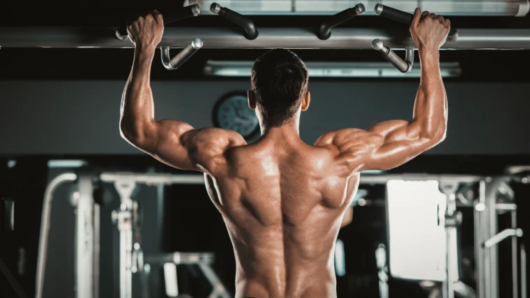 A muscular person doing lat exercise on a pull up bar in the gym.