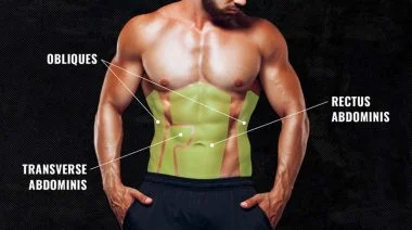 Abdominal Muscles