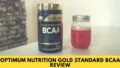 Optimum Nutrition Gold Standard BCAA